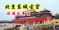 大機巴操淫落浪逼小說網中国北京-东城古宫旅游风景区